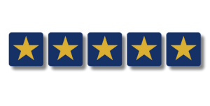 Depiction of a 5 Star Review