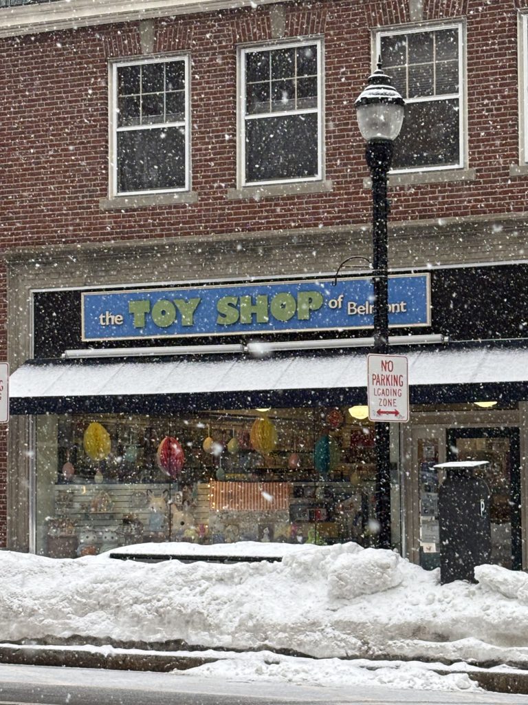 A photo of The Toy Shop of Belmont, located on Leonard Street in Belmont Center