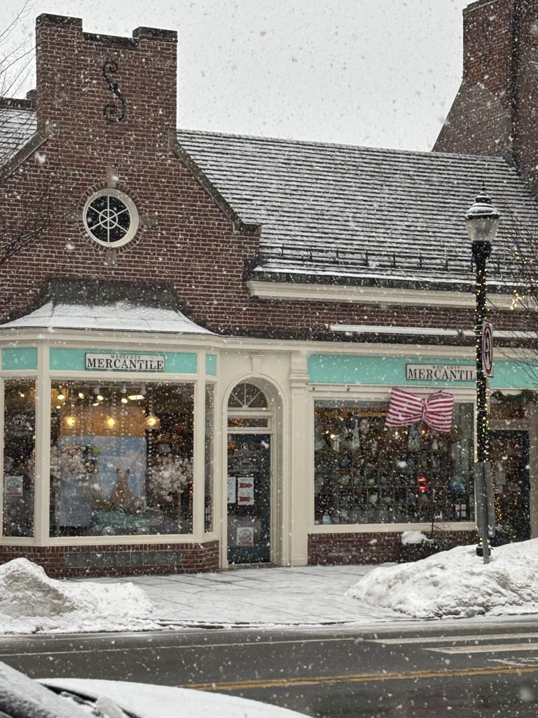 a photo of storefronts in Belmont Center